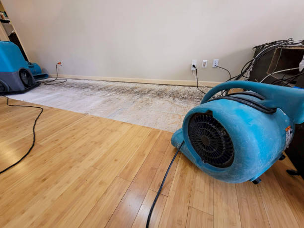 Professional Structural Drying technician working in Harmony, PA